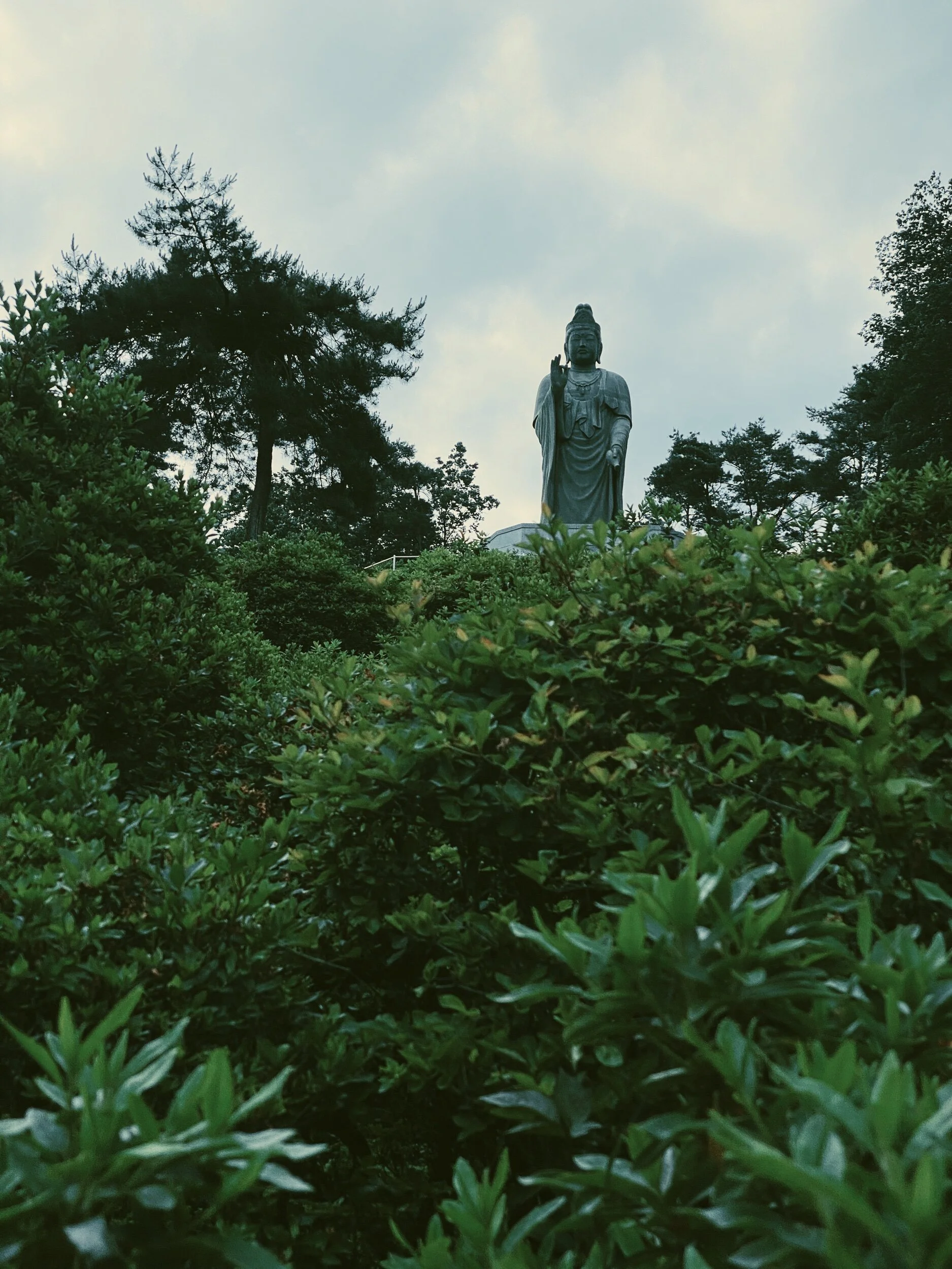 Little Lady Soul, image size:1875x2500