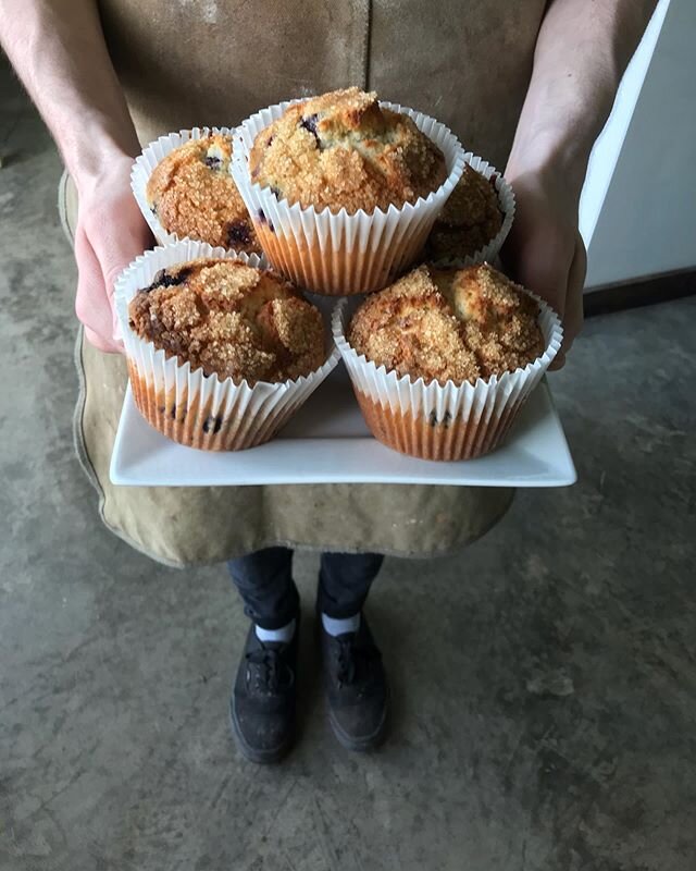 Our baristas have been back in the bakery which means muffins and scones and cookies, oh my! The full baked good lineup is available at our McCandless Crossing location along with your cup of joe.