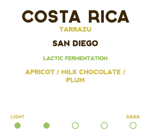 Screen Shot 2026-02-17 at 9.22.11 AM.png