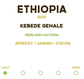 Ethiopia Natural