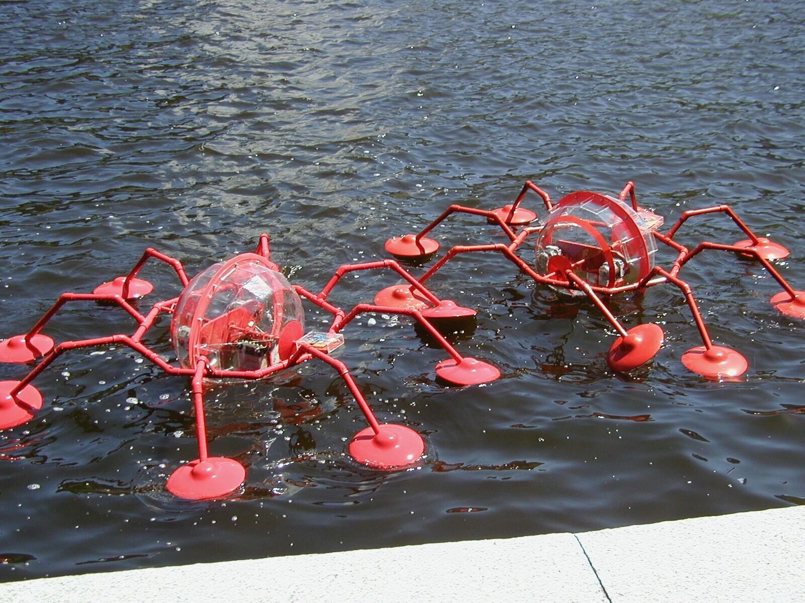 Dance of the Water Spiders