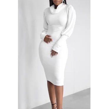 Casual Turtleneck Ruffle Design White Knee Length Dress