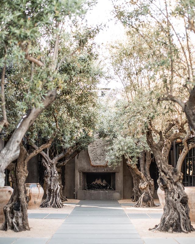 Are y&rsquo;all ready... to see... the most gorgeous Restoration Hardware restaurant + showroom exterior... 😍😍 Head to our stories to see all the photos we snapped of this beautiful space in Yountville, CA!
.
.
.
.
.
#sodomino #currentdesignsituati