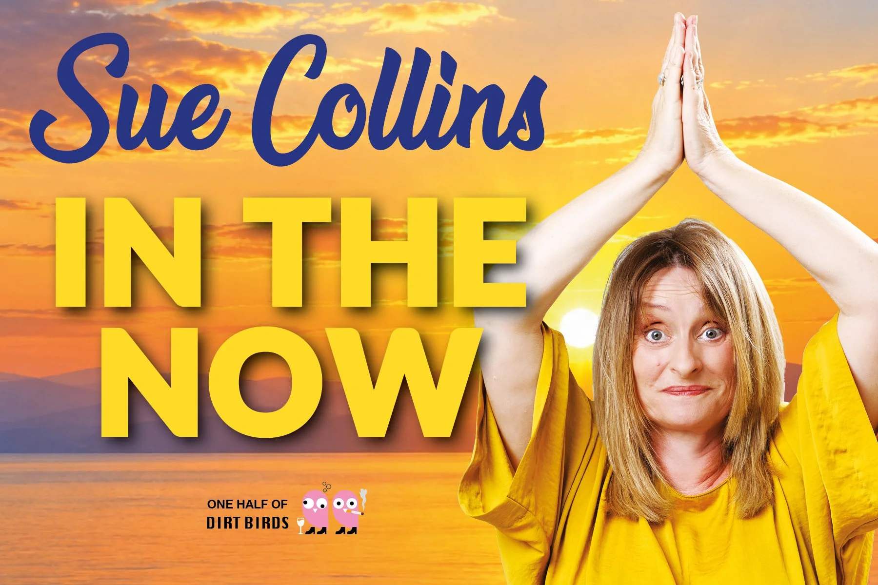 Sue Collins - In the Now