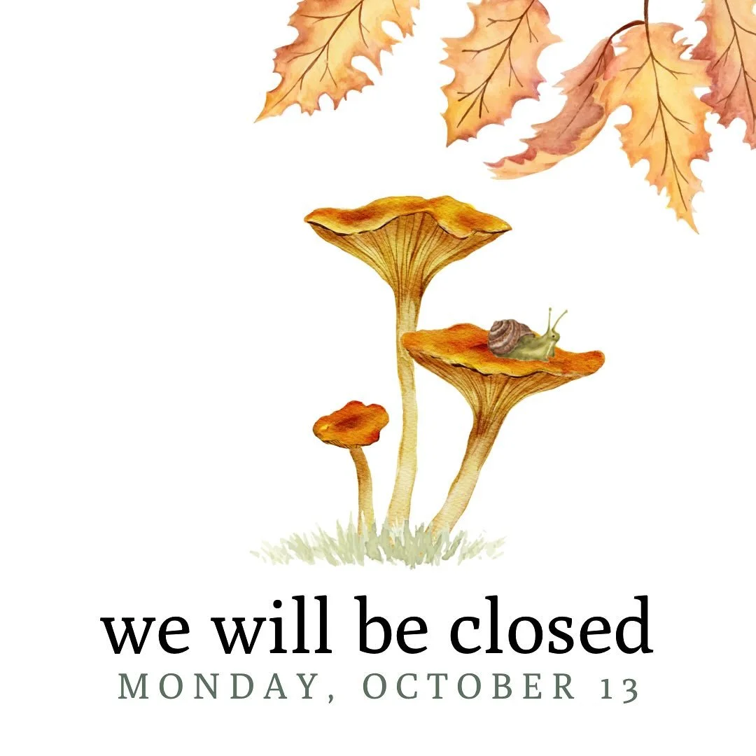 There’s so much to be grateful for right now… from the new life bursting through the ground, to the leaves giving their final glorious hurrah… the little creatures who often move around the world unnoticed, to the bears enjoying t