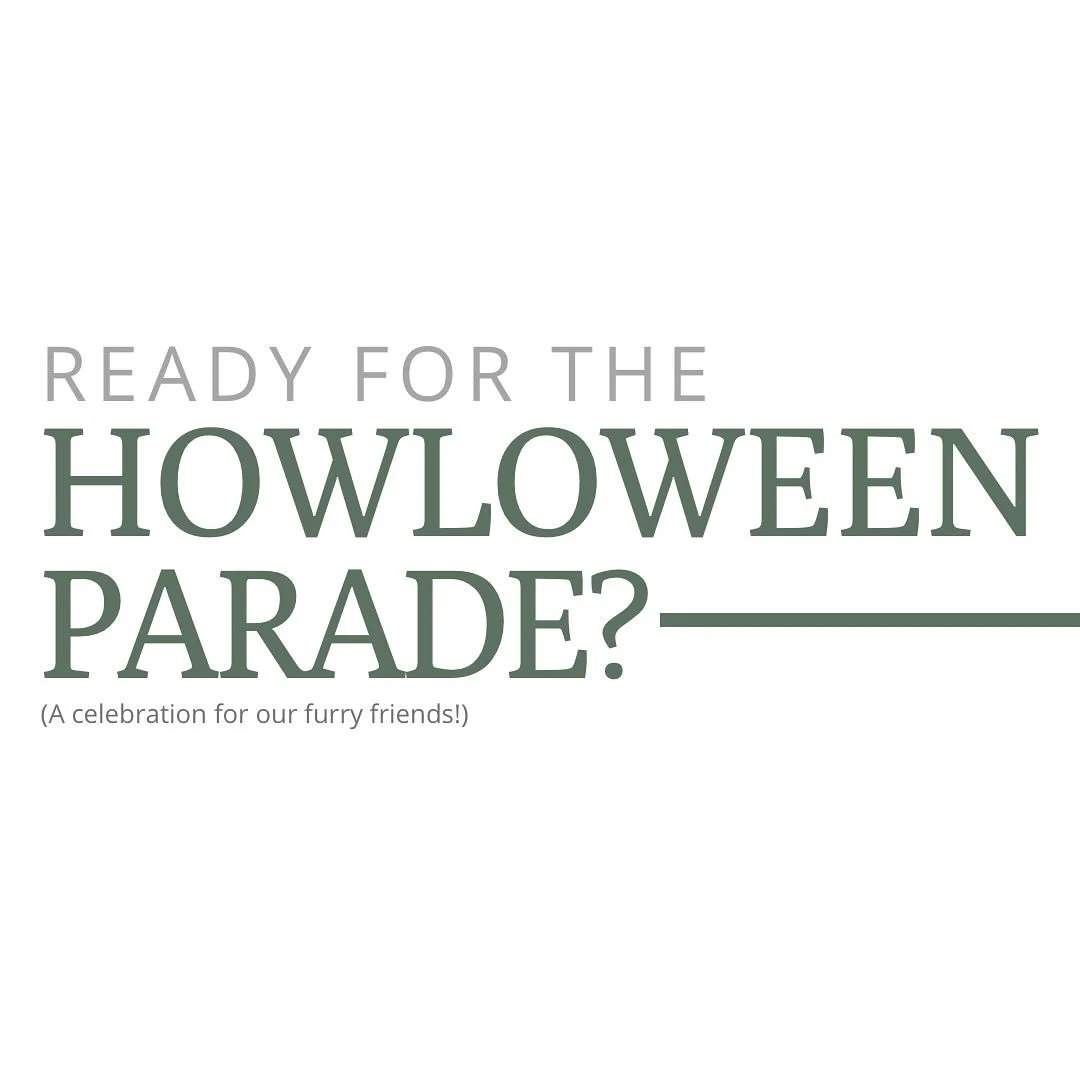 Tomorrow’s the day! The Howl-o-ween Dog Parade! 🐶🎃
Such a fun event to join in or just watch! We’ve got a few goods if you need ‘em:
Dog shampoo: for before or after! 😉
Treats: those pups deserve it. 😁
Poop bags: what goes i