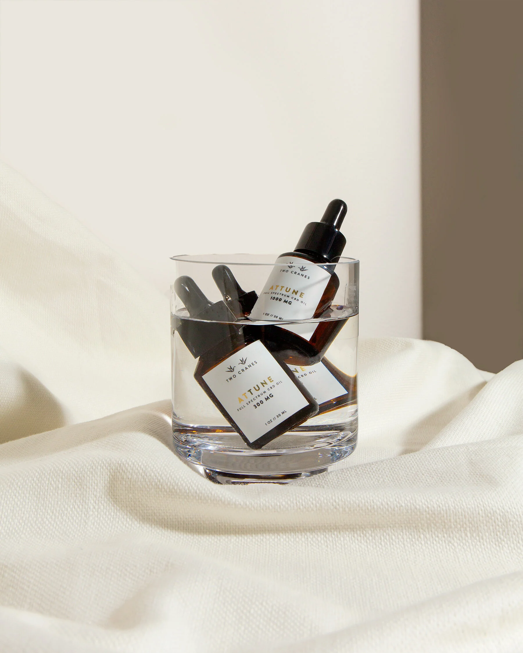 Copy of Copy of TC3.jpg