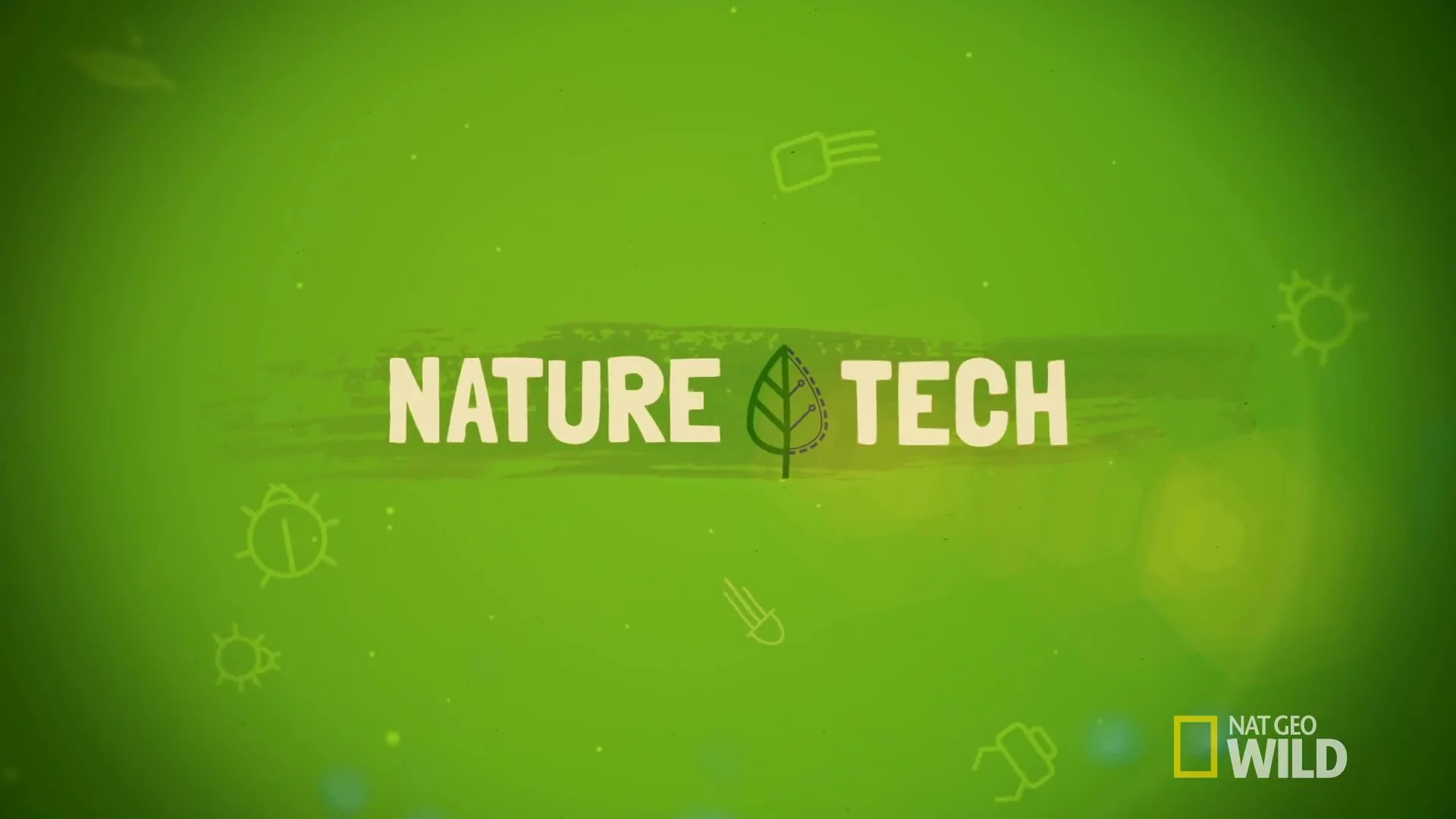 Encrypted Communication with Dolphins Nature Tech_Moment.jpg