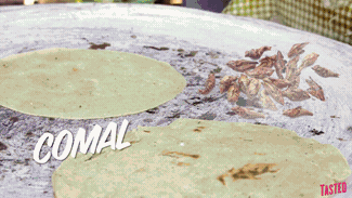 Savory_Mexican_Grasshoppers_aka_Chapulines_Why_Would_You_Eat_That.gif