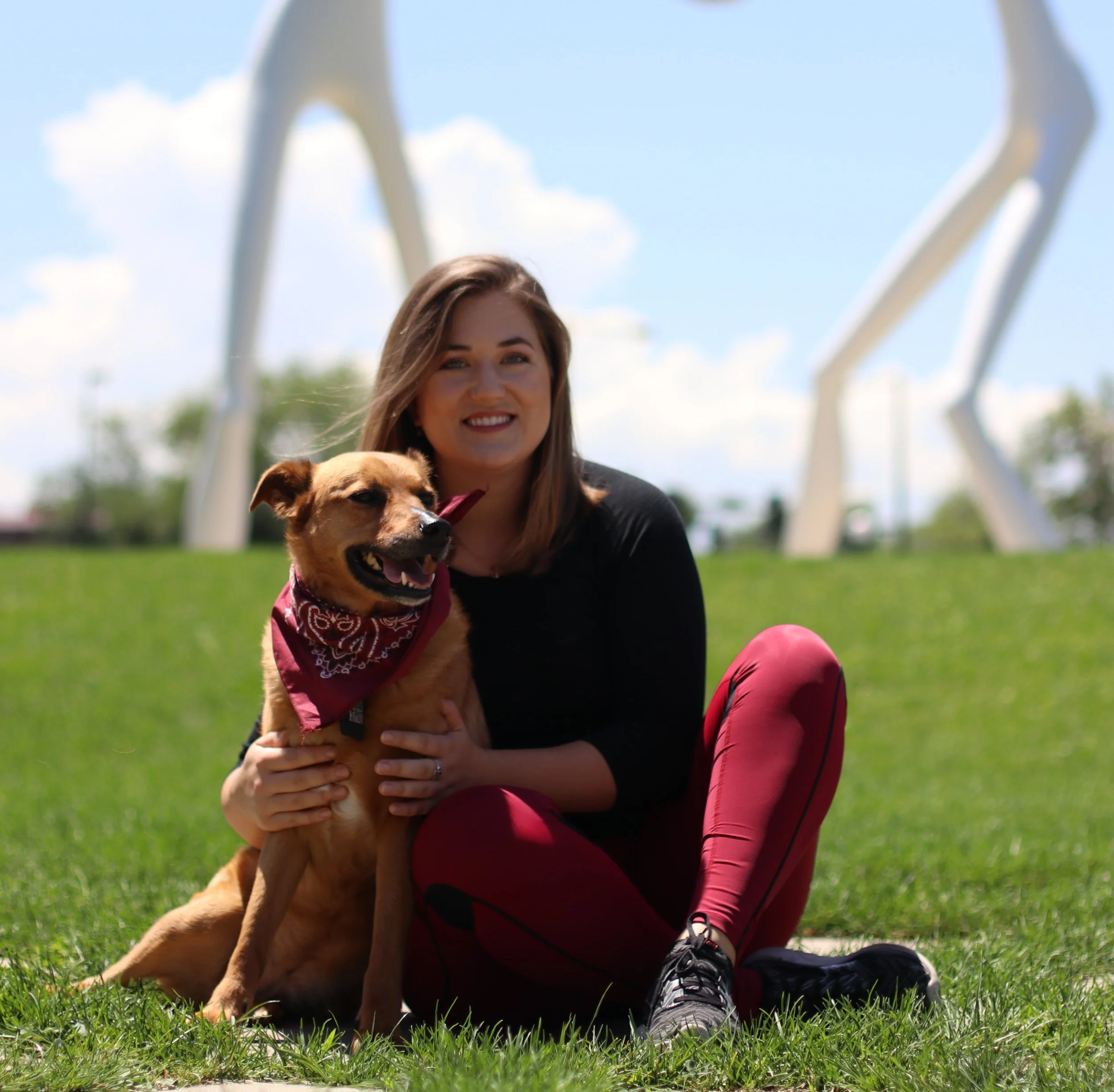 home from home pet care