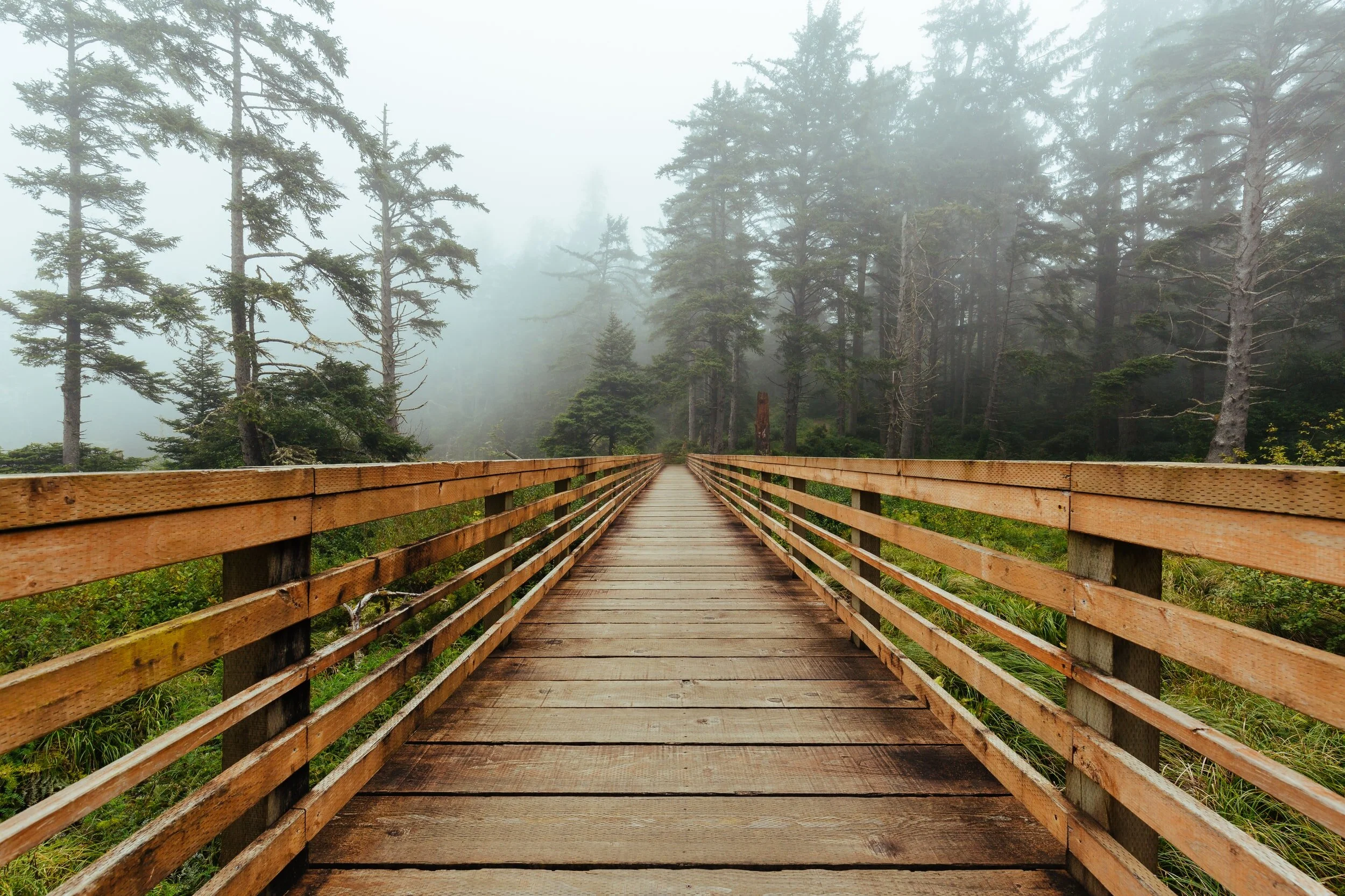Find a Therapist in Seattle or Washington State