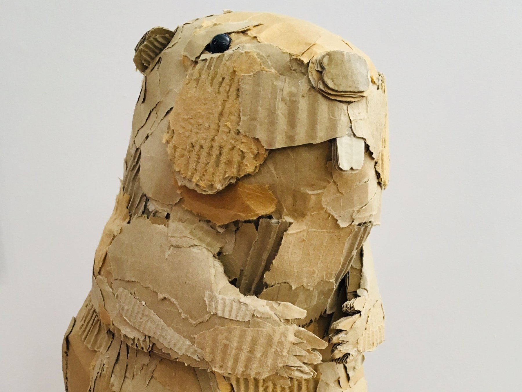 Canada Day In Benson Park