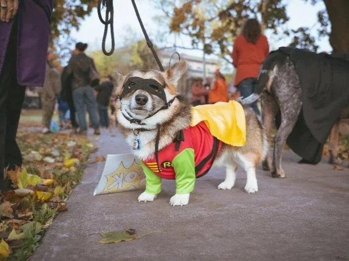 Houndoween