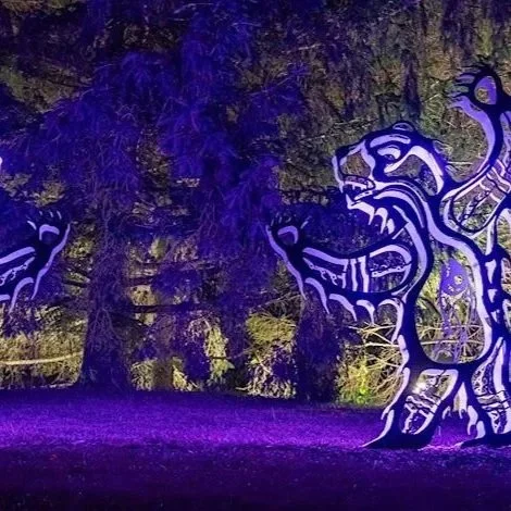 Lit Up: Oeno after Dark