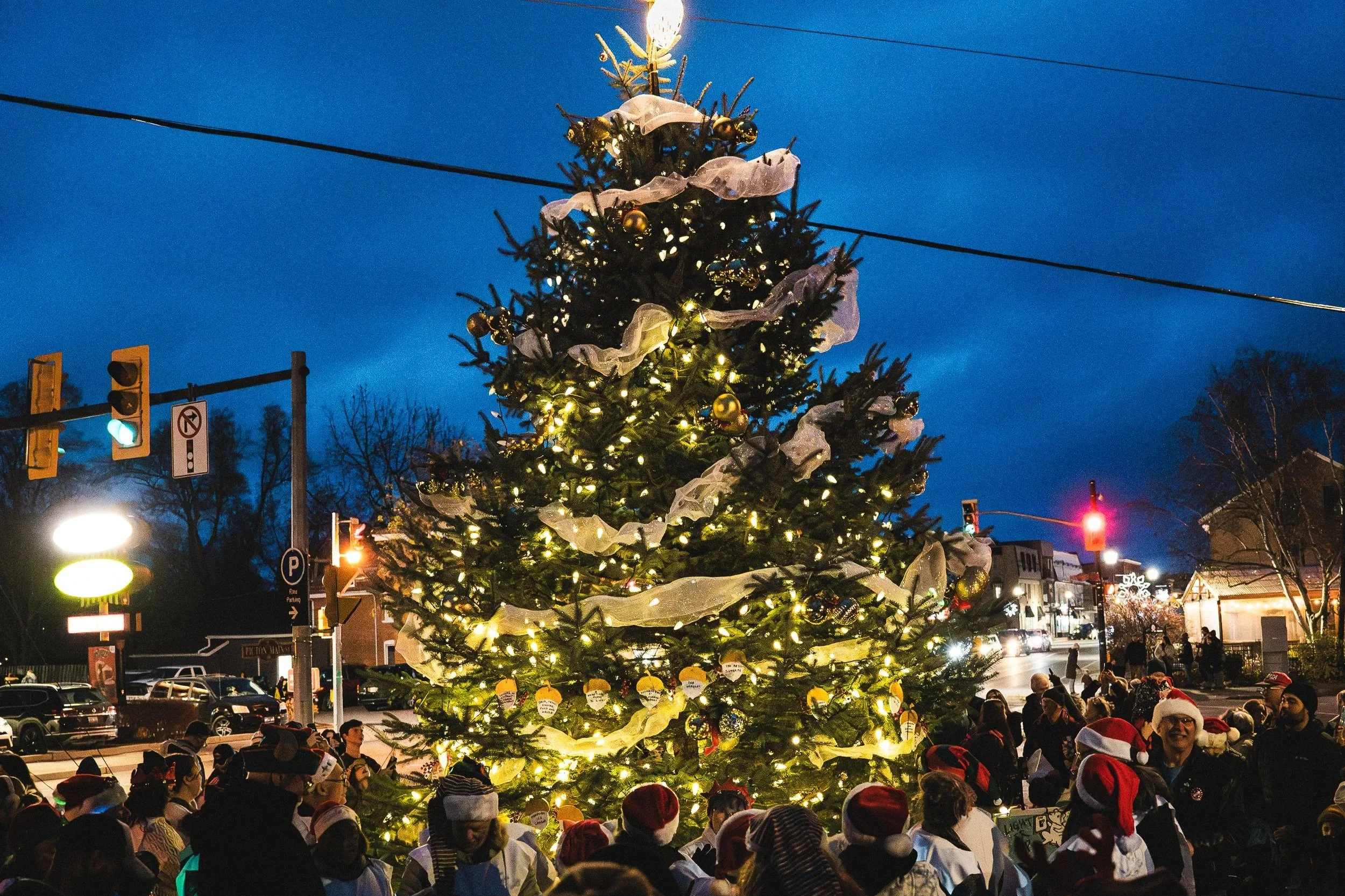 Annual Tree Lighting