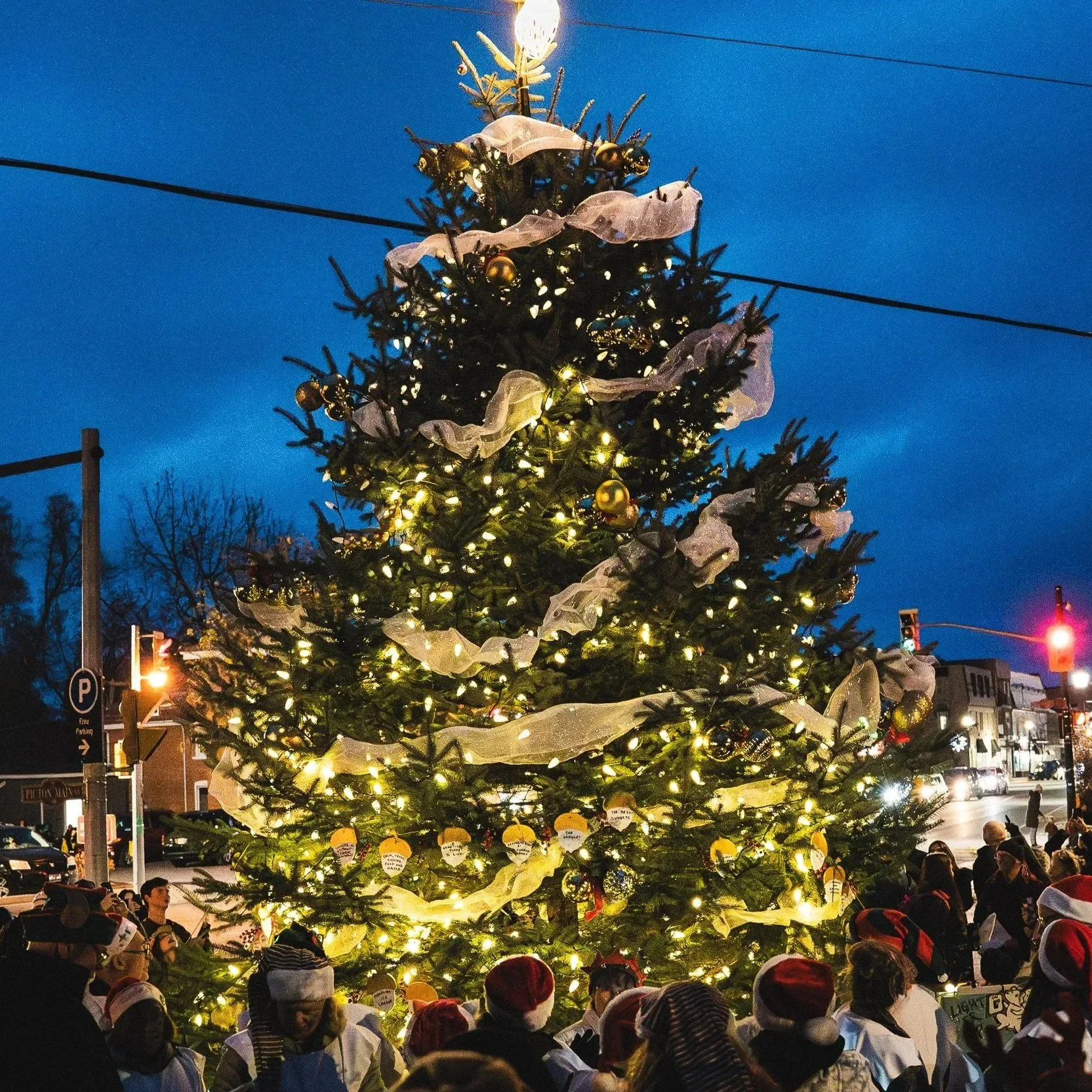 Annual Tree Lighting
