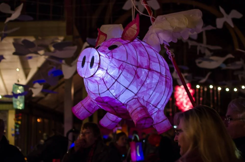 flying pig.jpg