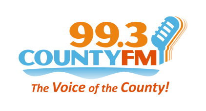 993 Logo tagline.png