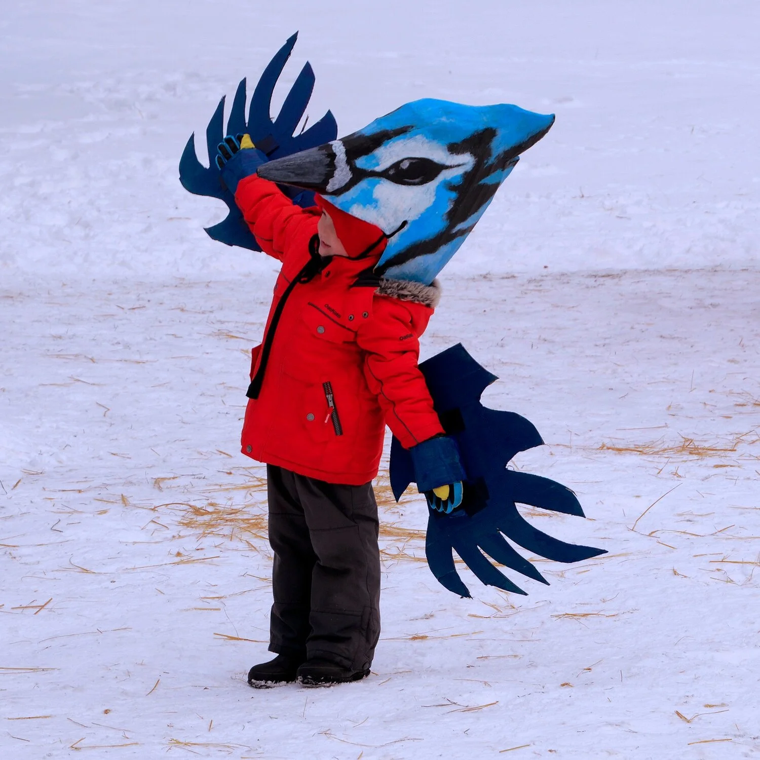 Boy wears blubird blue jay sculpture art at public art festival in Prince Edward County Ontario Canada