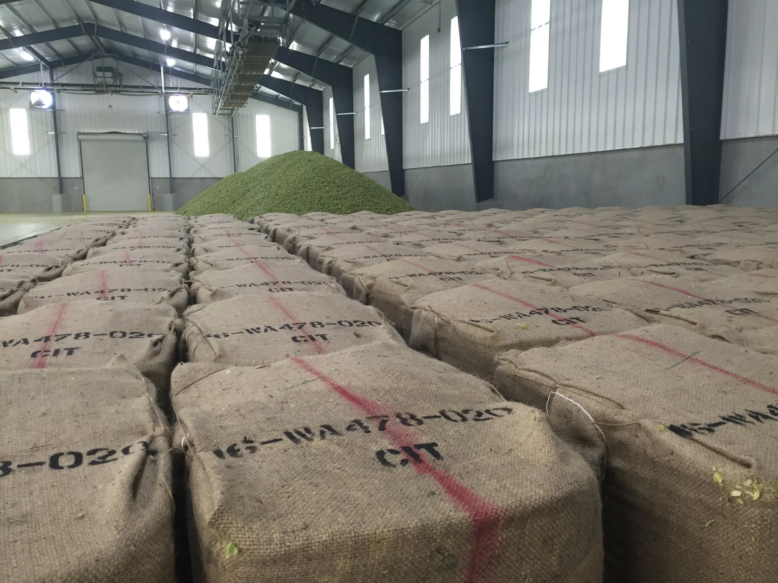 baling time.JPG