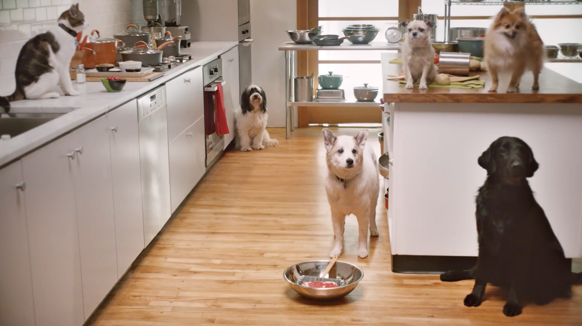Nutrish - "Make Your Own Food"