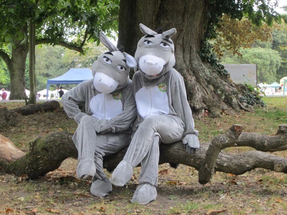 donkey on tree.jpg