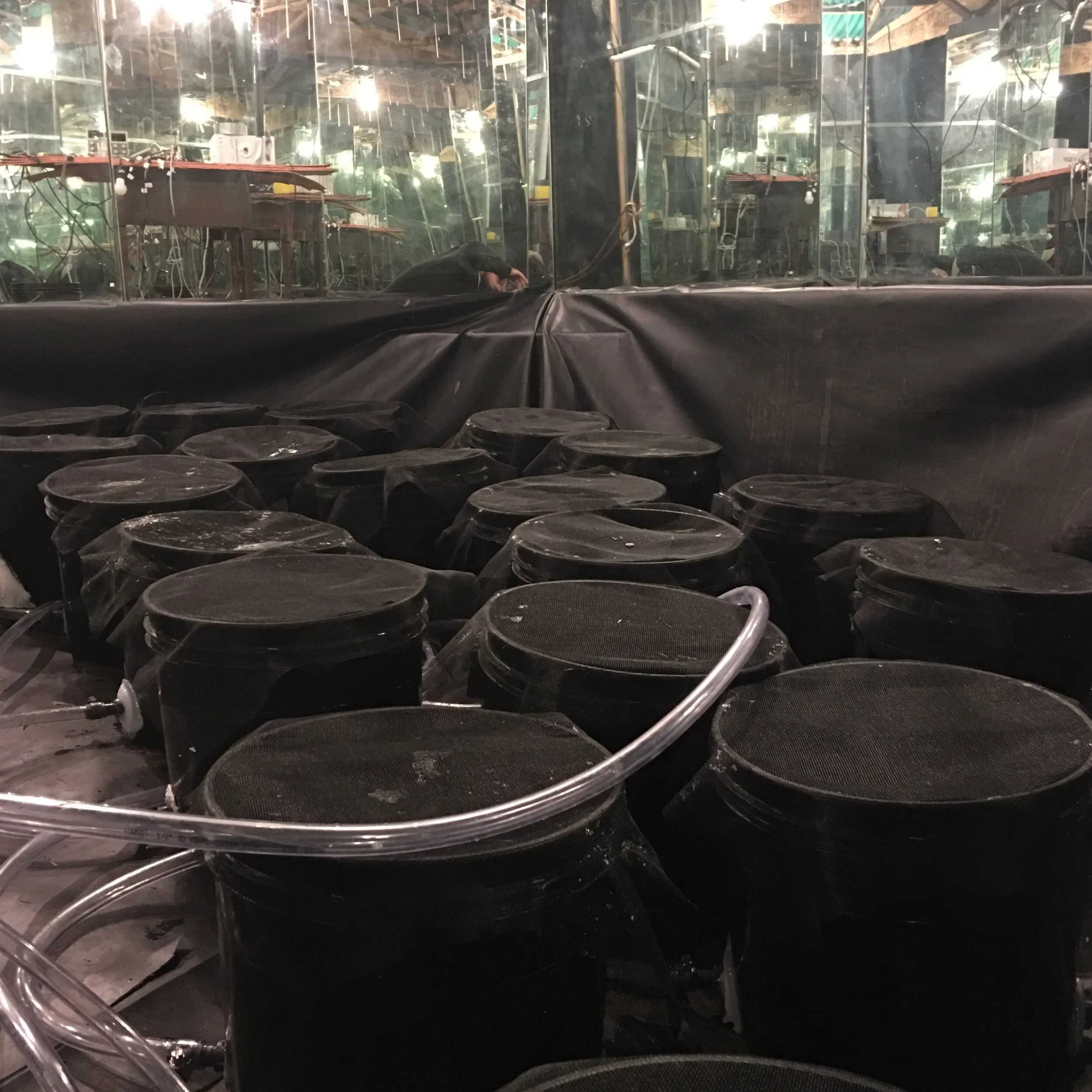 Water collector buckets 