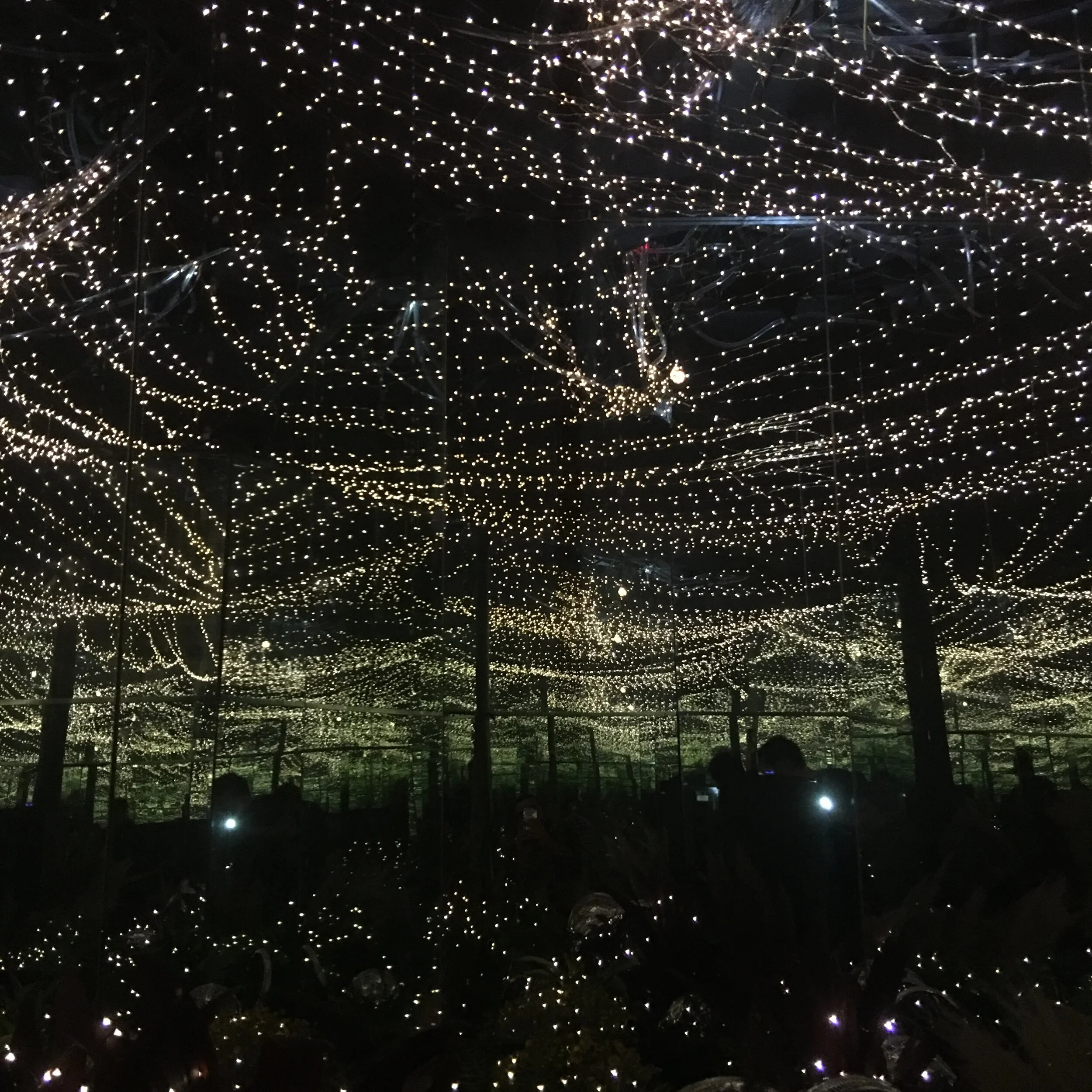 An expanse of lights