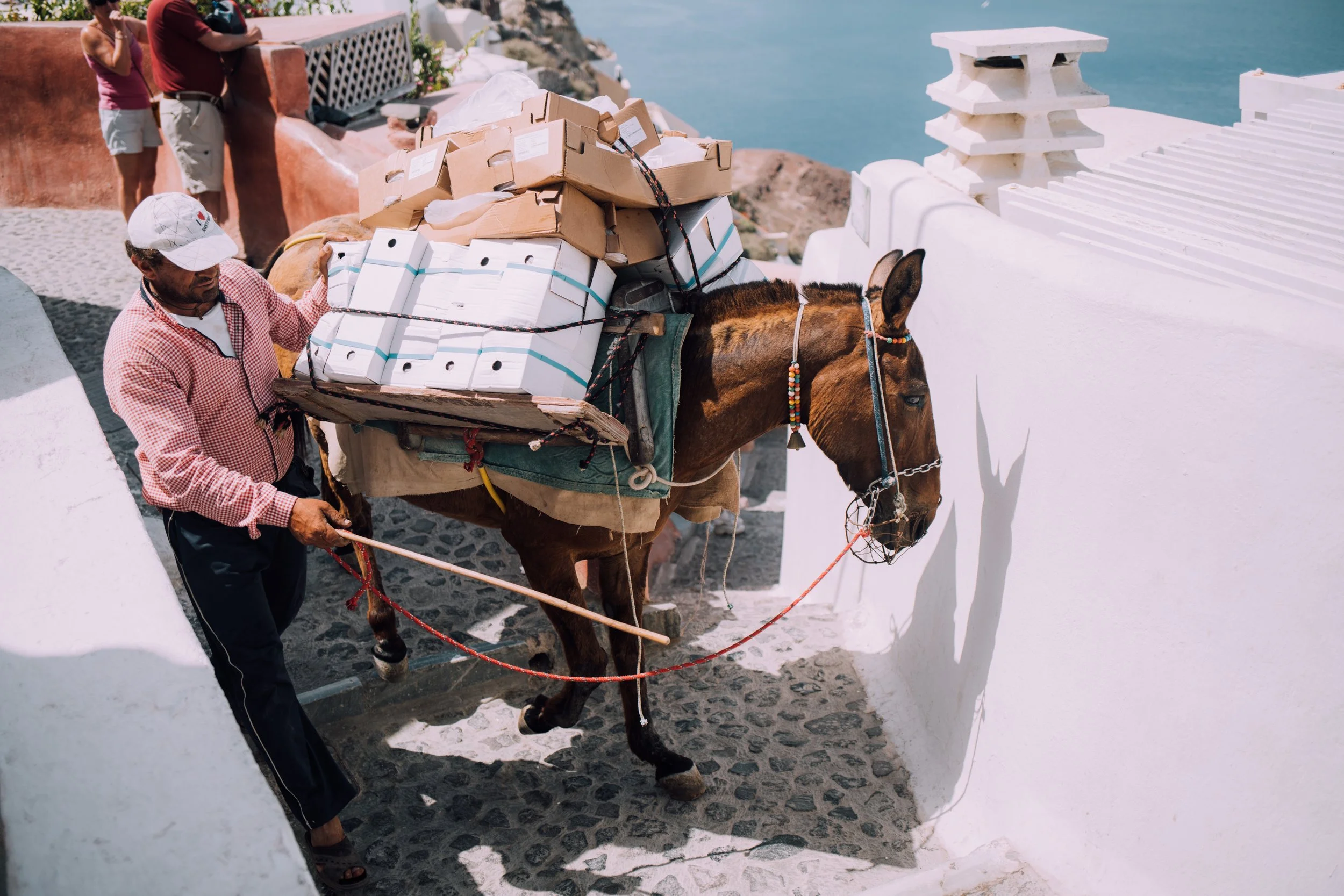 Sometimes we feel like the donkey. Don’t forget to sometimes be the tourist in the background enjoying the view! Photo by Charlie Marusiak on Unsplash