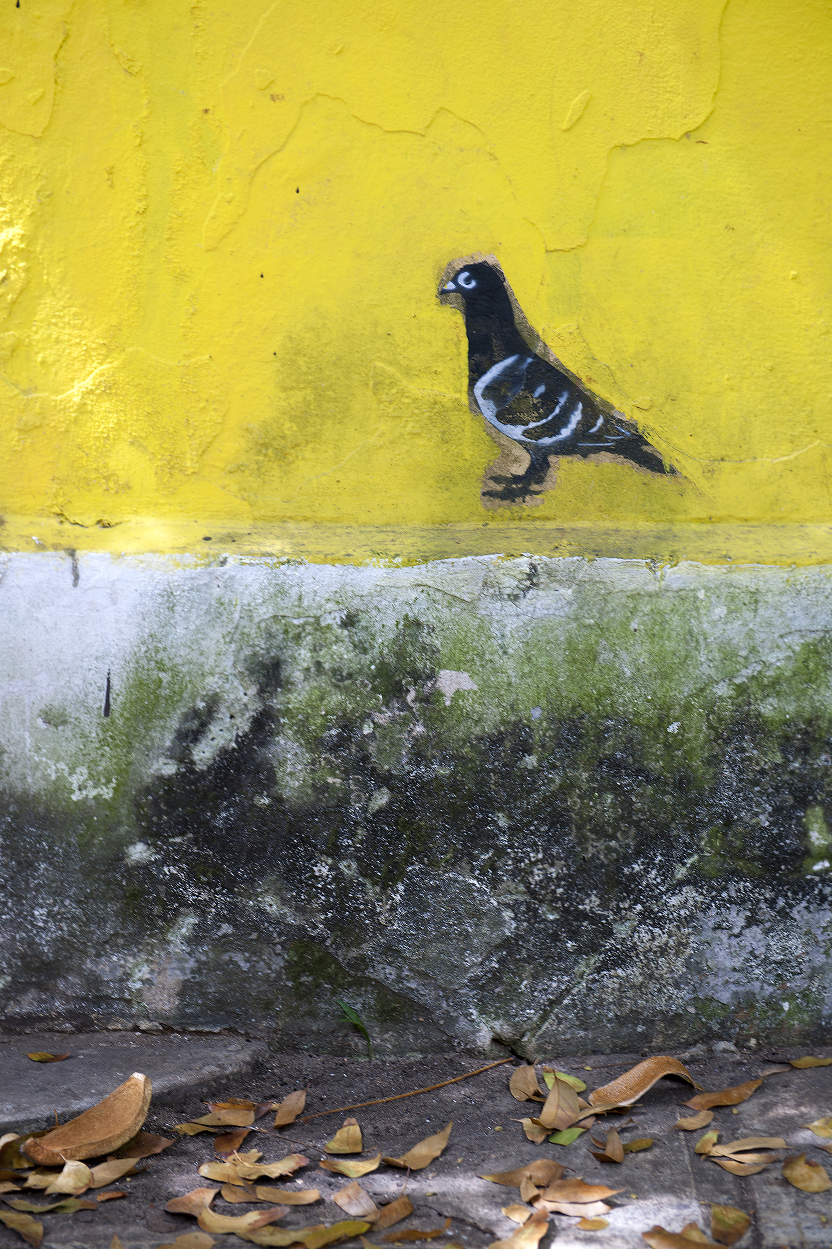 150320_San Juan_0665s.jpg