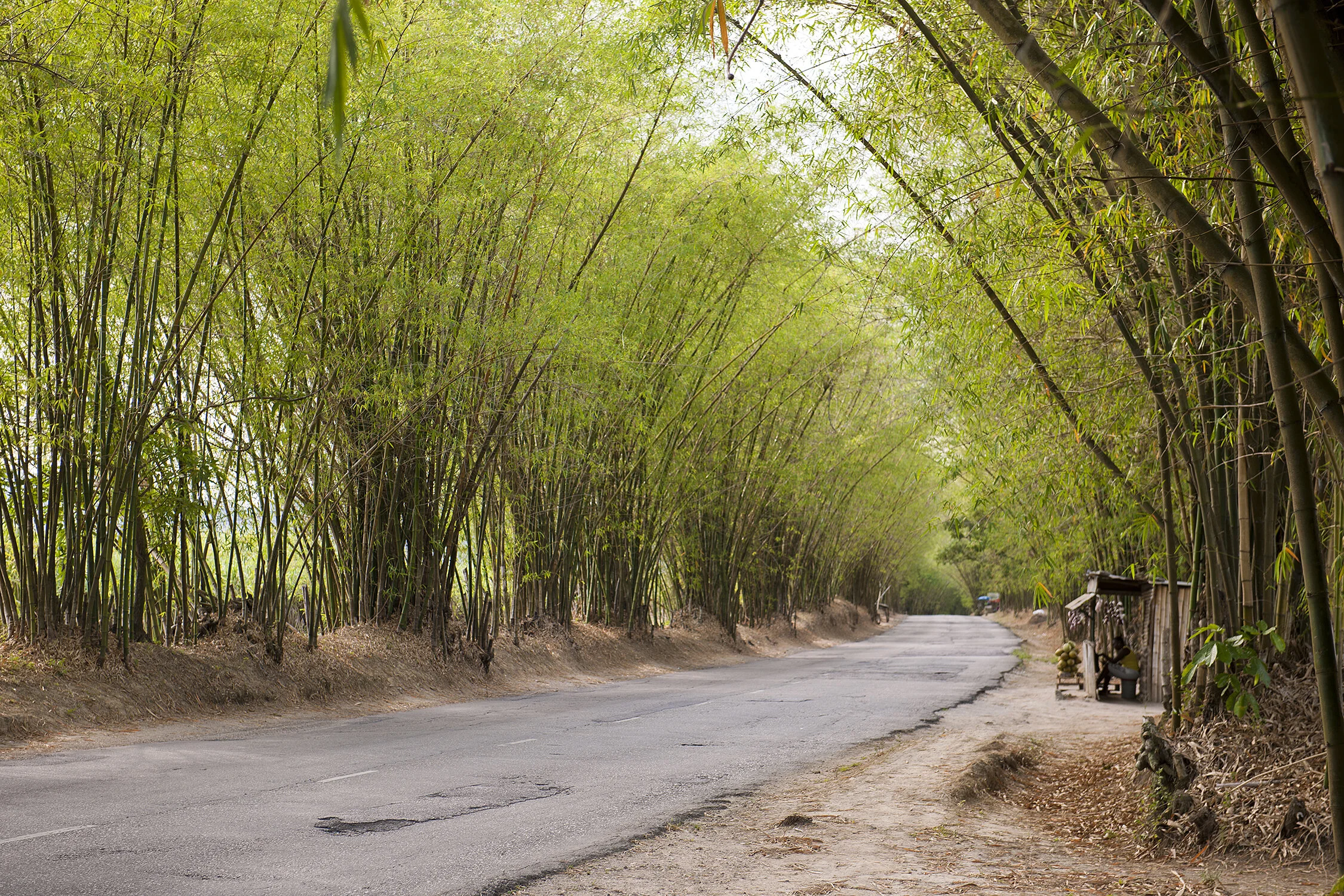 160317_Enter custom name hereGAS_0608 copy.jpg