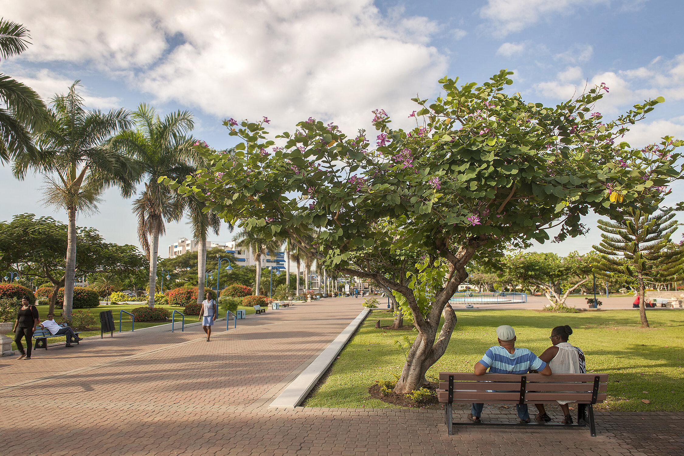 GAS_161111_0053 copy.jpg