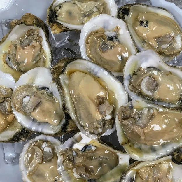 Tuesday, January 20th Dinner