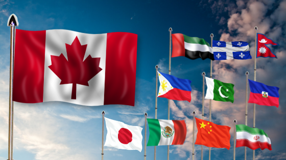 Flags Banner.png