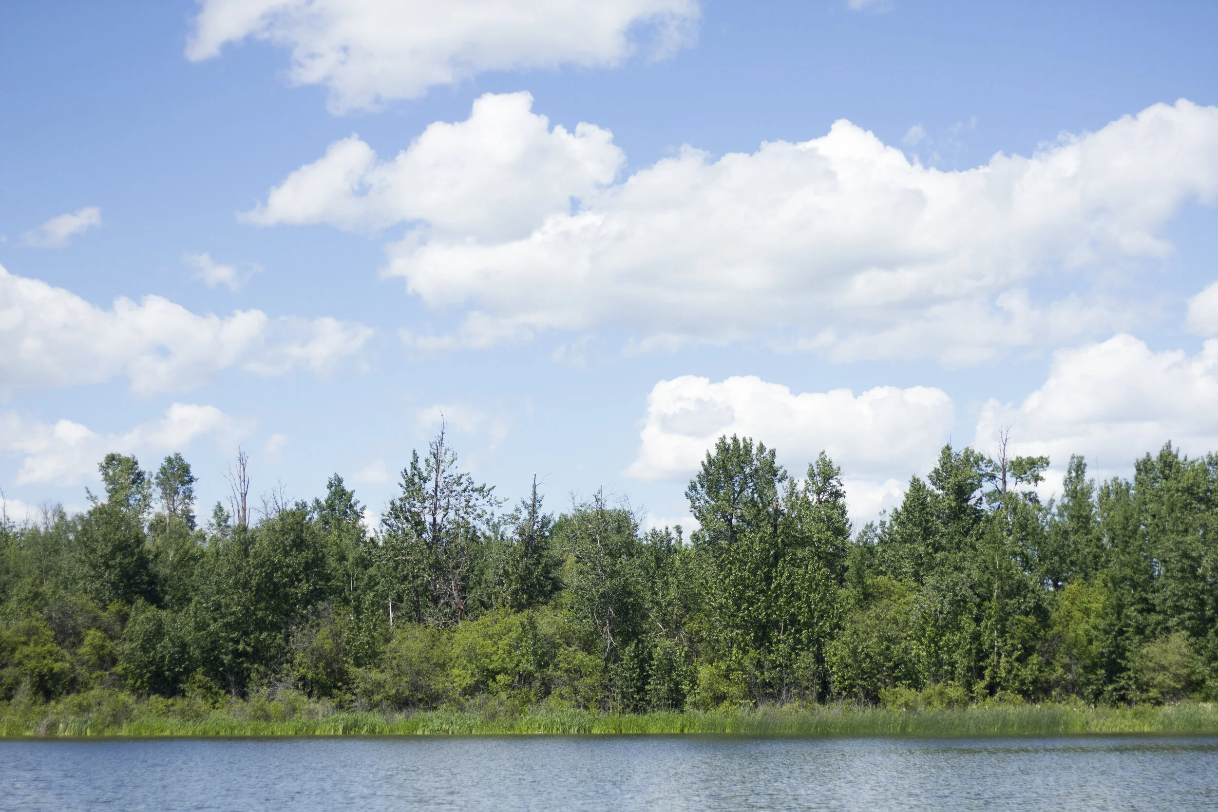 87.JPG