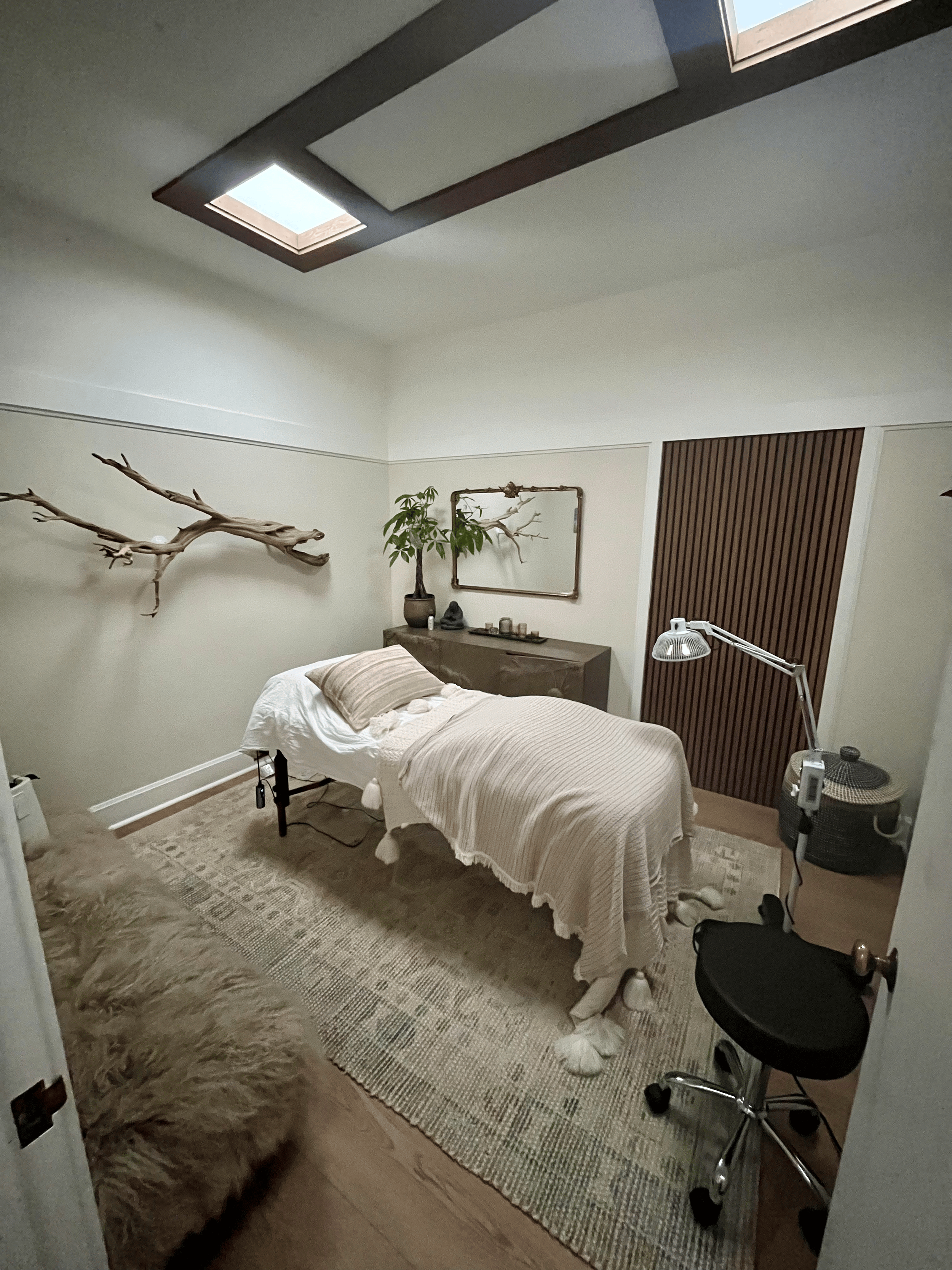 A bedroom with a bed, a gold-framed mirror, potted plant, wall decor, and a desk lamp. There is a skylight in the ceiling and a rug on the floor.