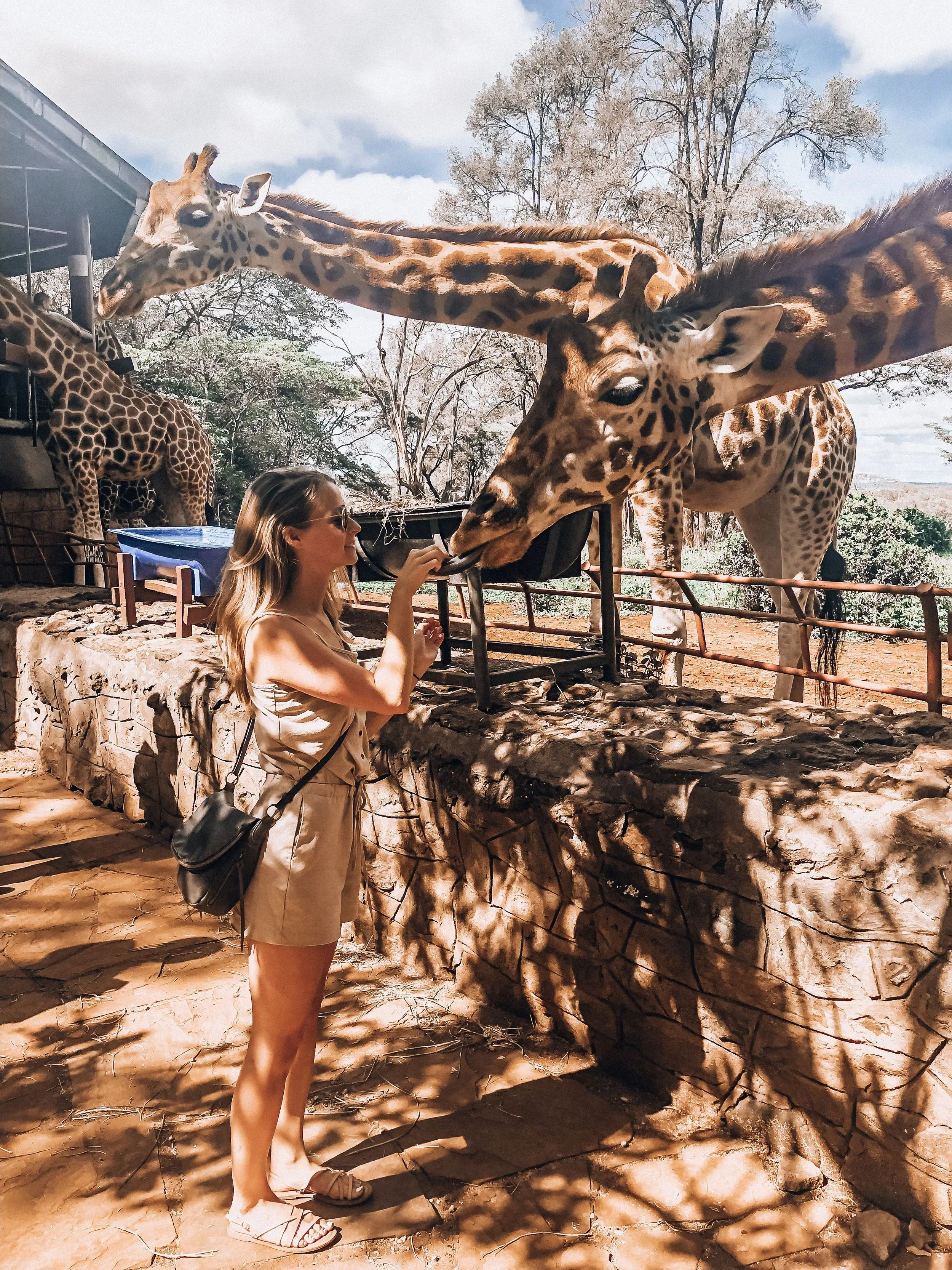  Giraffe Centre, Nairobi, Kenya 