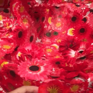 tumblr_p4d8cze9my1wfn5upo8_400.gif