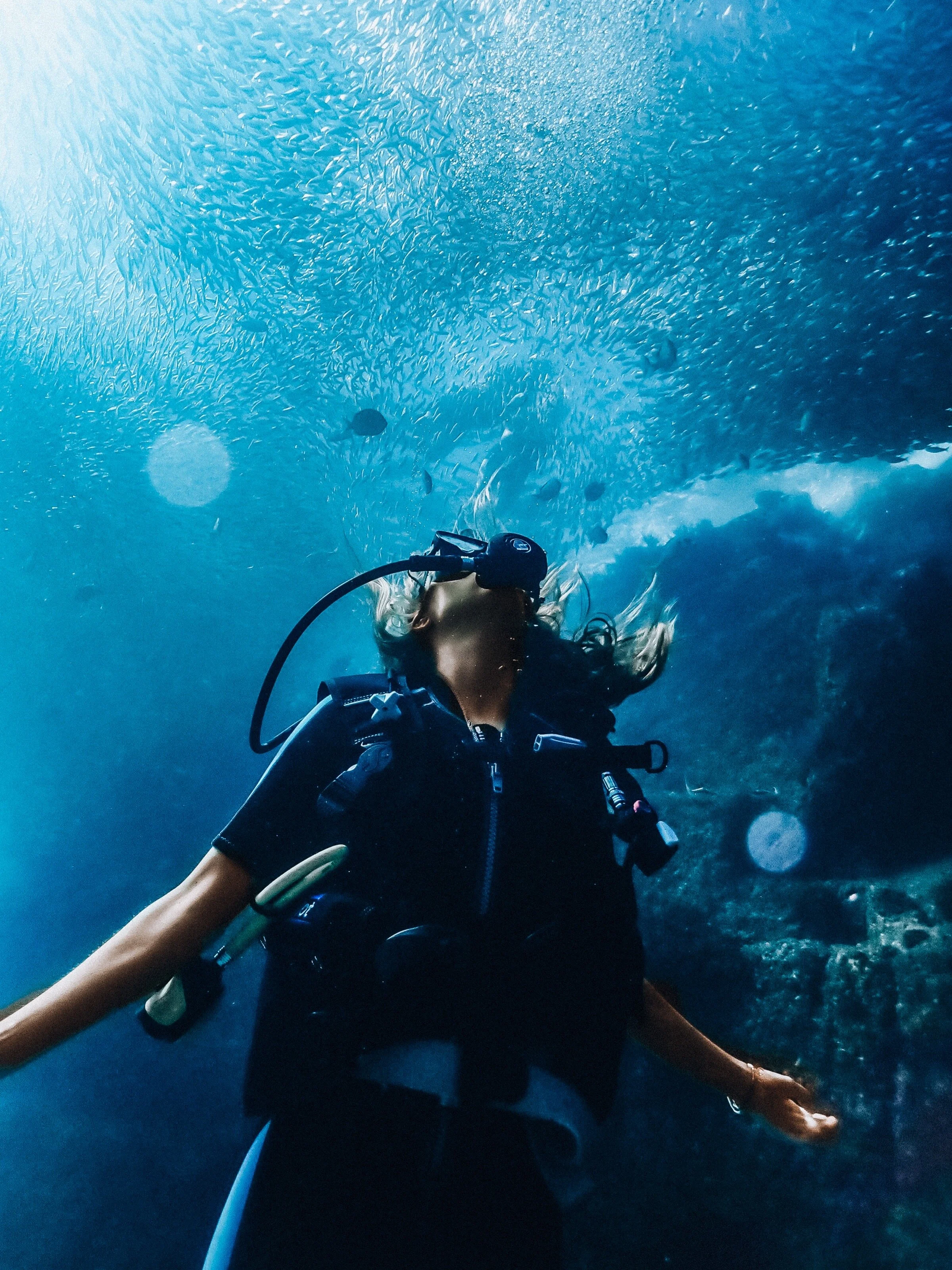 Cabo San Lucas &amp; San Jose del Cabo: The final flounce