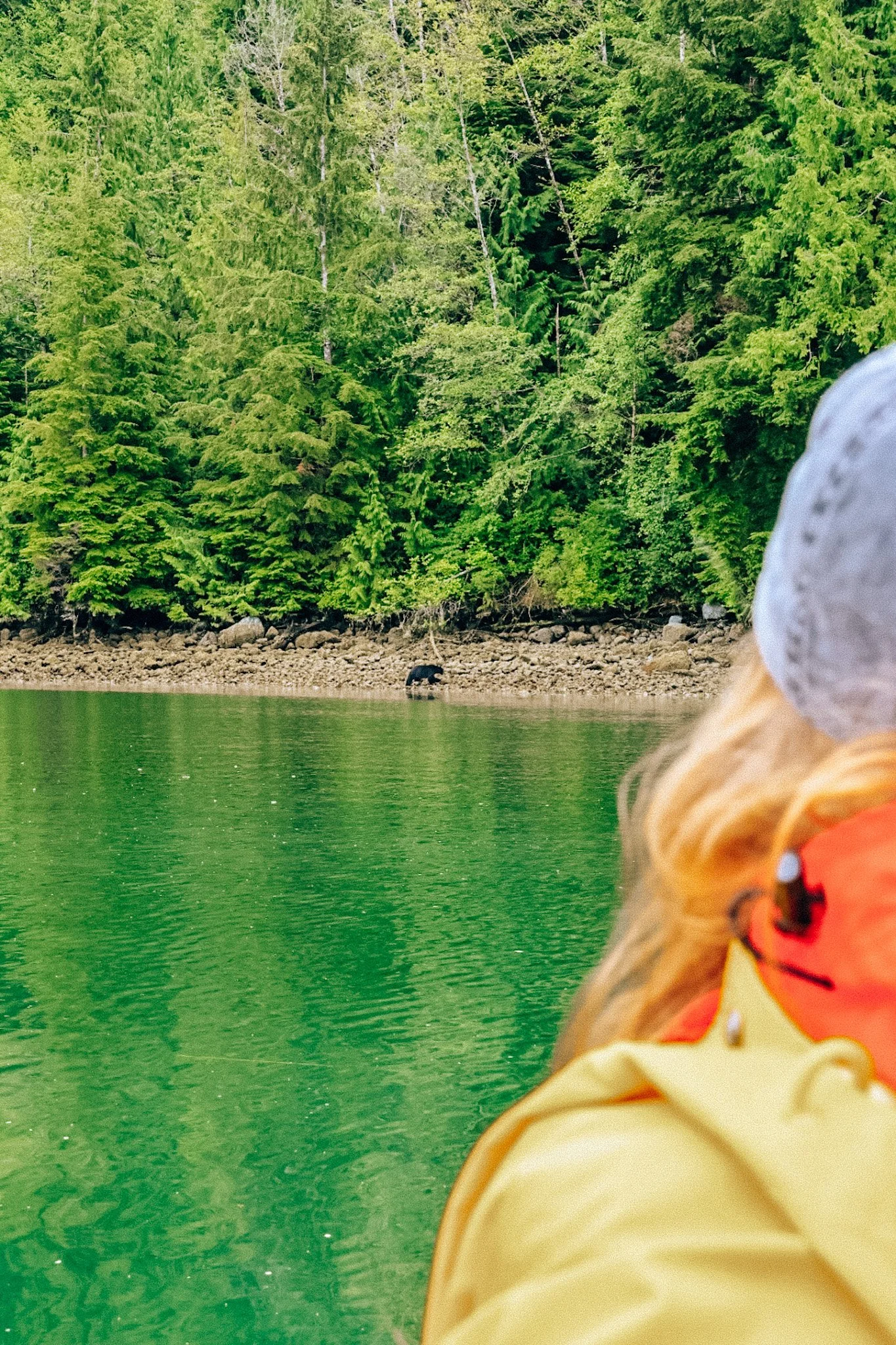 Vancouver Island: Cowichan, Sooke, Port Renfrew, Tofino (ft. a bear safari!!)