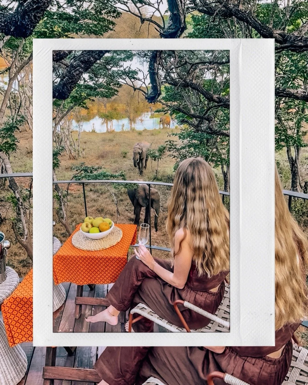 just published a new blog post on the most soul-shifting adventure with @imvelosafarilodgeszim&hellip;

a week on the ground in Hwange that broke down barriers to the wild that i never even knew existed.

it changed the way i see elephants, walking s