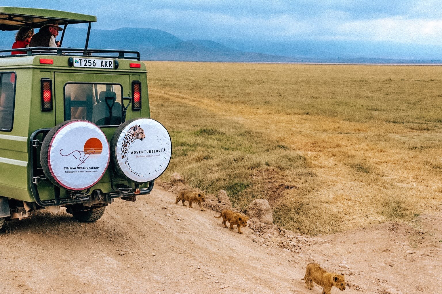 this is Ngorongoro Crater. ✨

the world&rsquo;s largest intact, unflooded volcanic caldera, home to one of Africa&rsquo;s highest densities of wildlife, where it&rsquo;s not unusual to spot 6 species in a single scene. it feels incredibly healing her