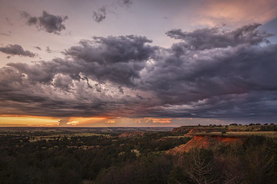 Photo by Scott Bean.