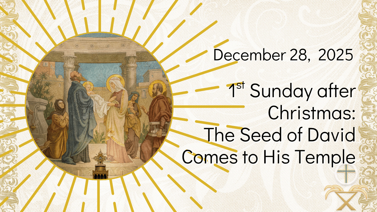 Morning Prayer - 1st Sunday after Christmas