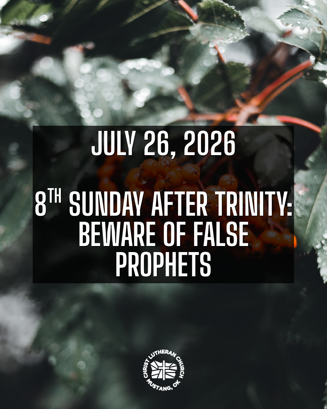 Matins - 8th Sunday after Trinity