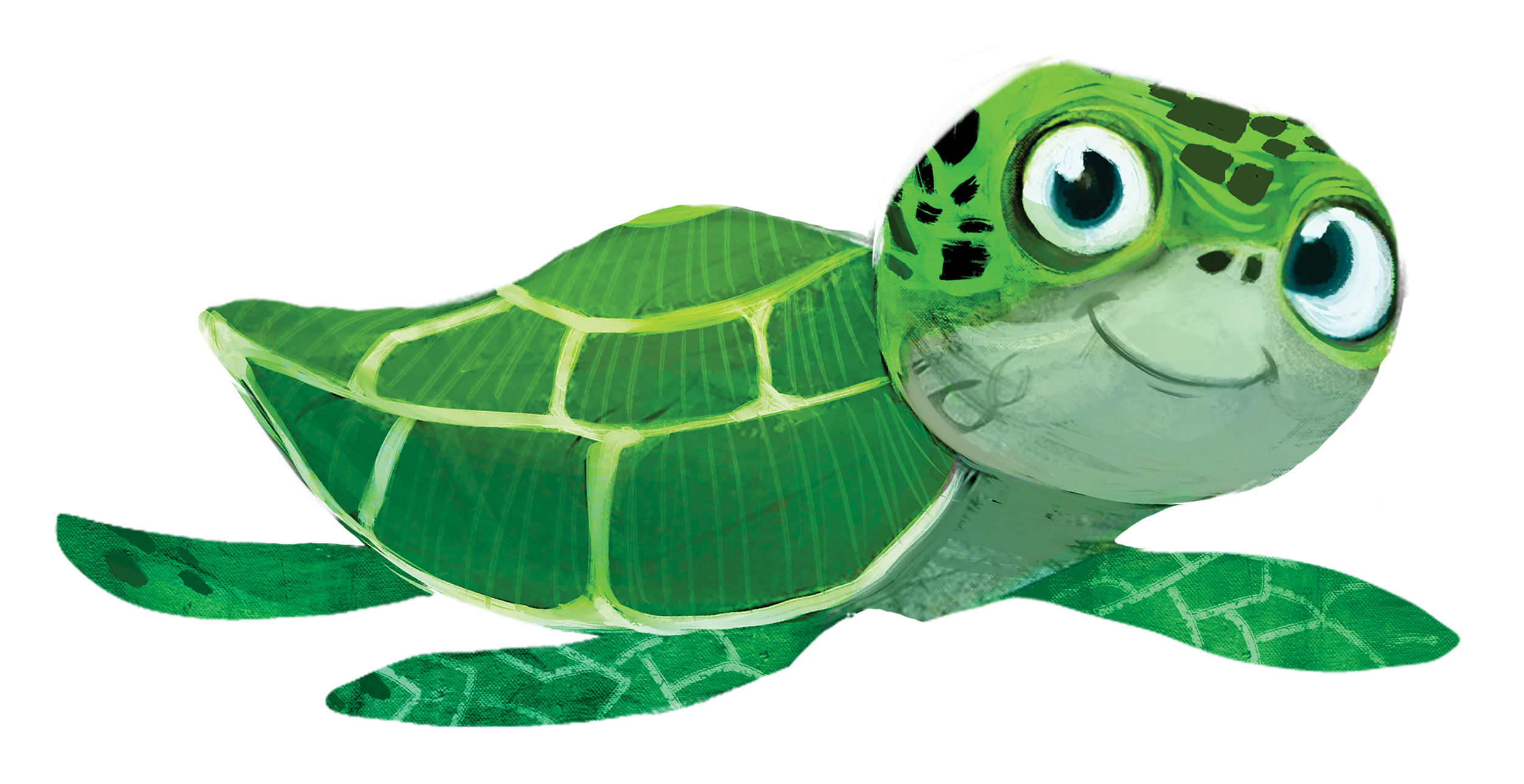 Sea Turtle Tropical Trek: Jesus Comes to Seek and Save VBS at Christ Lutheran Church, Mustang, OK June 22-26, 2026