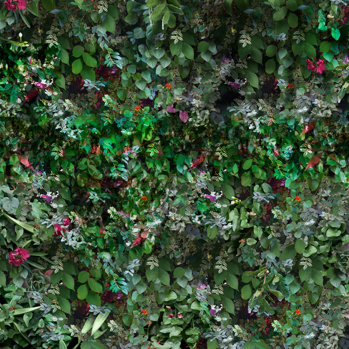 Leaves, 43 x 43 inches, archival pigment print, 2015