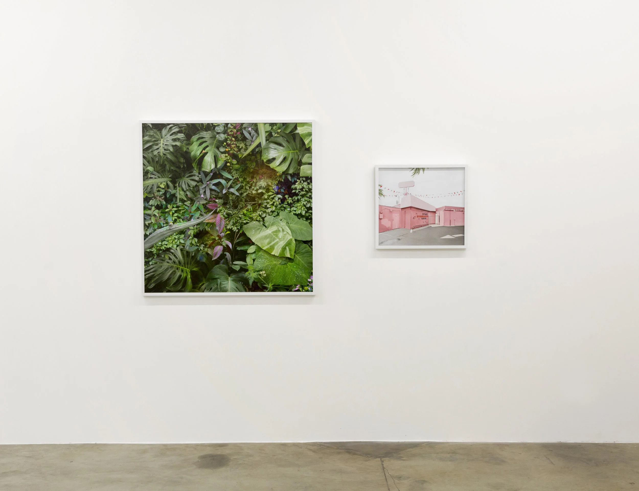 Installation View, This Place exhibition at the Liliana Bloch Gallery, Dallas, TX, 2016