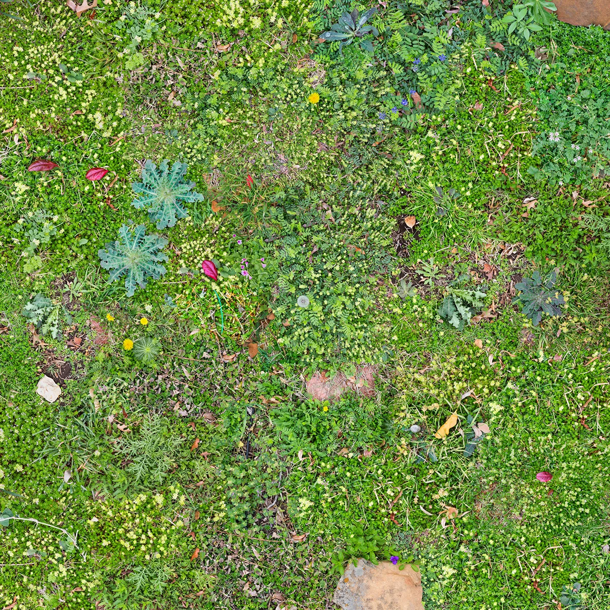 Lawn , 43 x 43 inches, archival pigment print, 2016