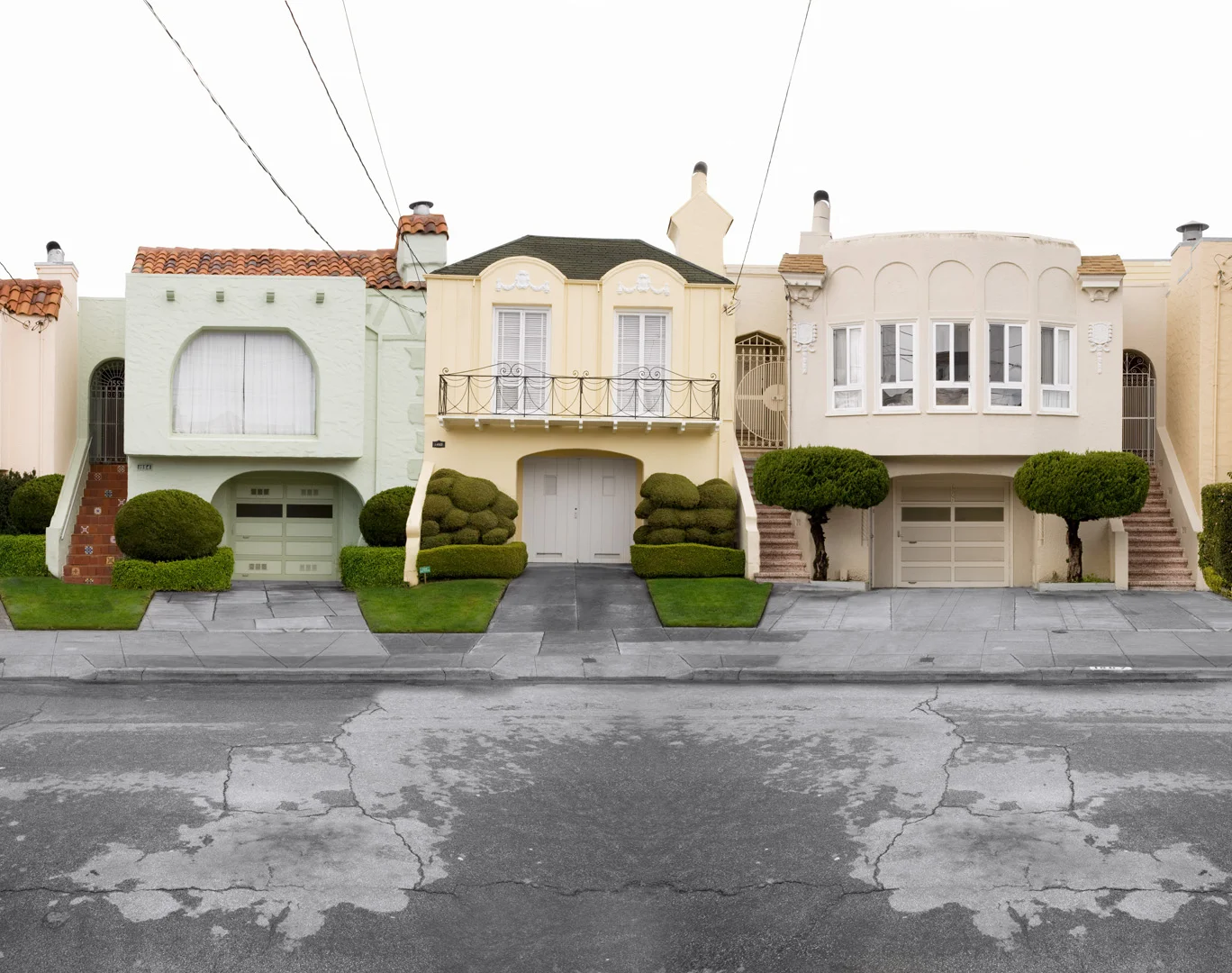 Bushes, , 30 x 38 inches, archival pigment print, 2009